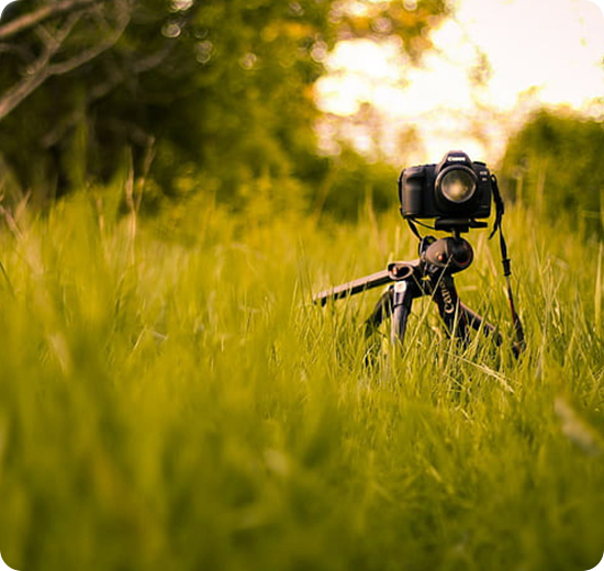 Studio Studio Photography and outdoor photography services.